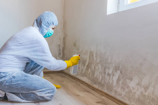 Hvac And Air Duct Mold Remediation inspection of HVAC system in Chestertown